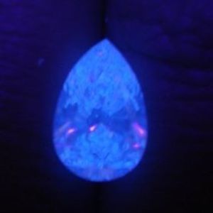 Meet your Posher, Circe